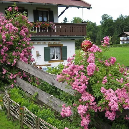 Amazing In *